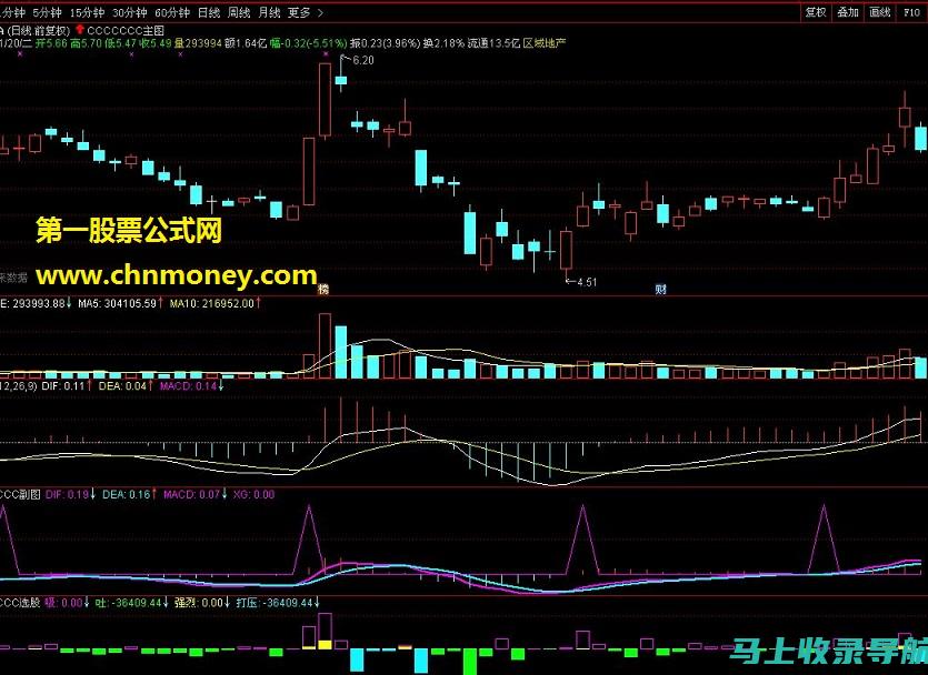 领先一步：选择一流SEO推广公司助力企业在竞争中占得先机